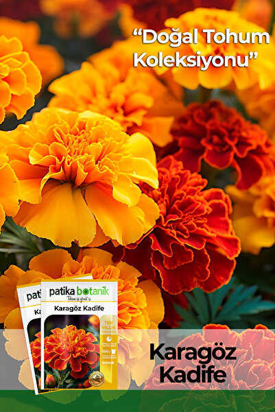 Patika Botanik 50 Adet Karagöz Çiçek Tohumu (Tagetes Patula)