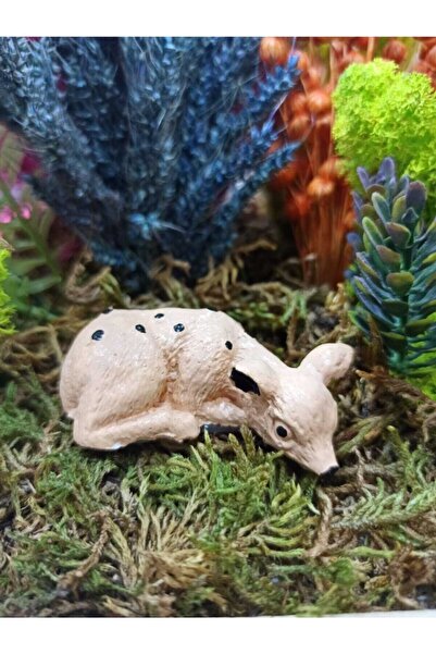 Ceylan Terrarium Object Miniature Object Terrarium Accessory Terrarium Ornament