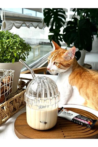 Orvila Mika 430 Ml Hard Plastic Coffee and Frozen Soft Drink Cup - With Glass Straw Gift