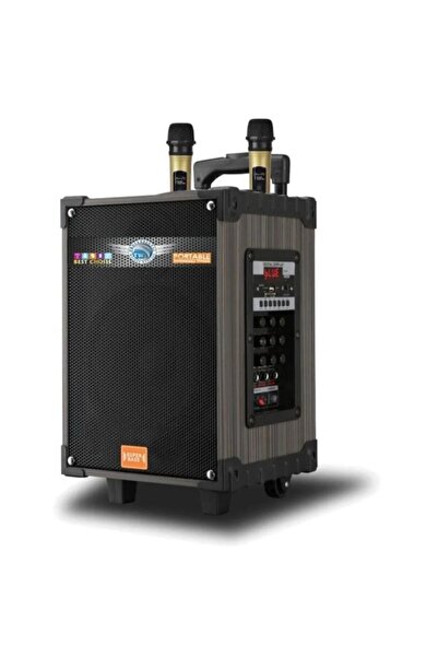 EMRTECH Lt-910 Kablosuz 2 Mikrofonlu Kablosuz Hoparlör