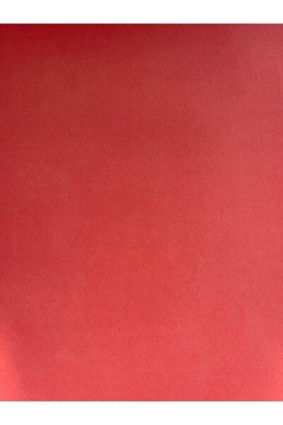 BAŞYAPI DİZAYN Narçiçeği Ithal Duvar Kağıdı (5m²)