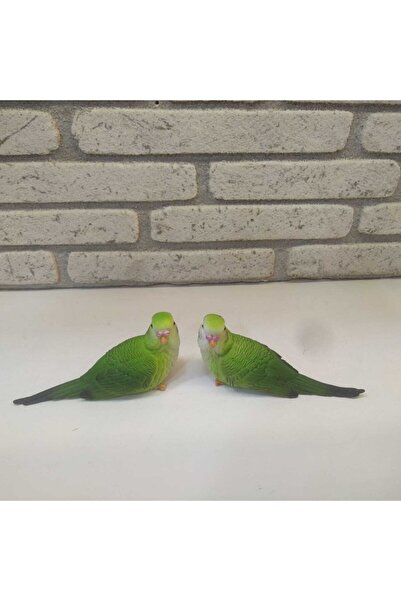 Gold home design Yeşil 2 Li Muhabbet Kuşu