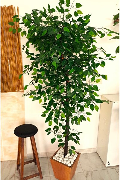 YEŞİLADA Yapay Benjamin Ağacı 1.90 Mt Boy Ficus Benjamia Ahşap Saksıda Doğal ...