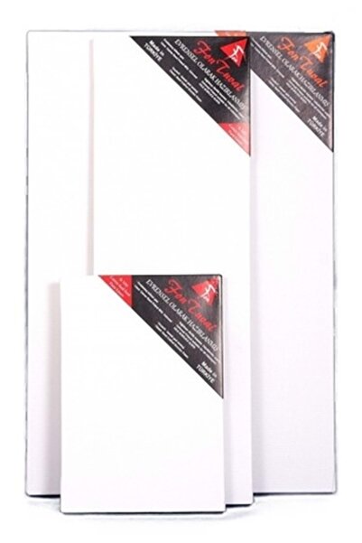 Linea Arkadan Zımbalı Sıvama Profosyonel Tuval 35*50