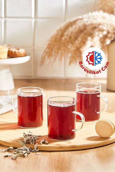 Vienev 3Pcs Heat Resistant Borosilicate Glass Mug Cup