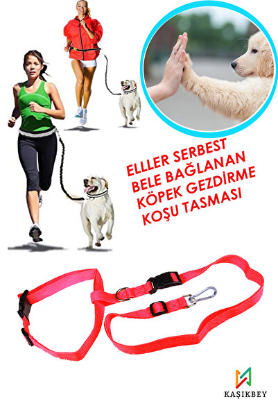KAŞIKBEY Dog Harness Hands-Free Walking Training Waist Harness Dog Fitness Ru...