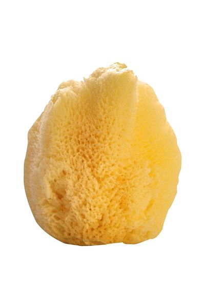 BAZAAR 4 Sea Sponge for Baby - Baby Size
