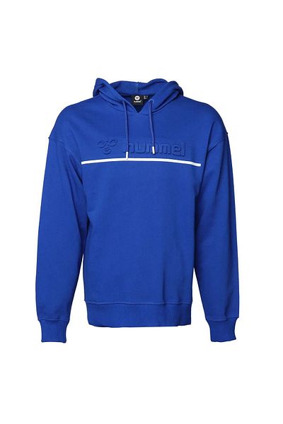 hummel 921645 -7788 Hmladrian Hoodie Ανδρικό μπουφάν Surf The Web