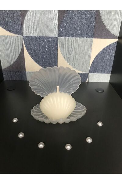 BlueDaisyCandle midye (istridye ) mum  mika kutulu 24 adet , Düğün, Nişan, Ni...