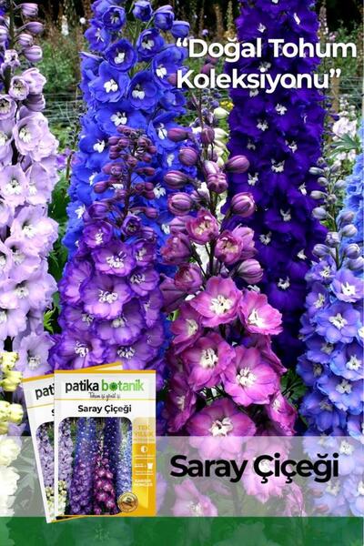 Patika Botanik 30 Adet Saray Çiçeği Tohumu (Delphinium L.)