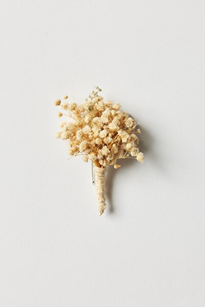 ALTINYILDIZ CLASSICS Erkek Bej Yaka Çiçeği