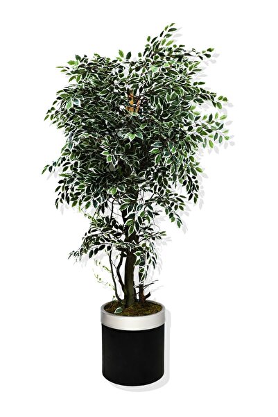 Cihan Çiçekçilik Yapay Ağaç 180 Cm Benjamin Starlight