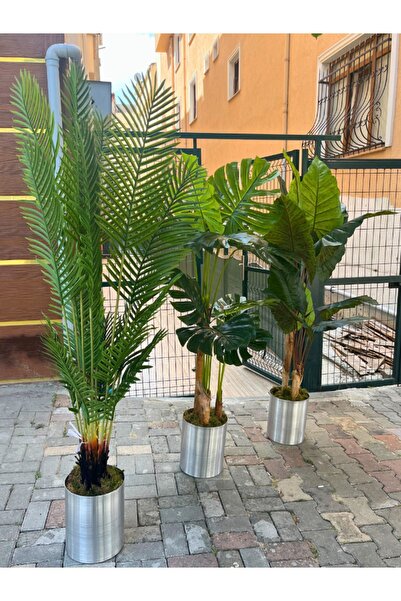 Cihan Çiçekçilik Yapay Areka Ağacı & Yapay Monstera Ağacı & Yapay Fil Kulağı Ağacı