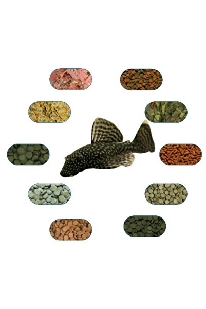 Genel Markalar Cüce Vatoz Yem Paketi (L144-SÜPER RED-LDA16 VB.) 100 Gr/ad (5 ÇEŞİT)