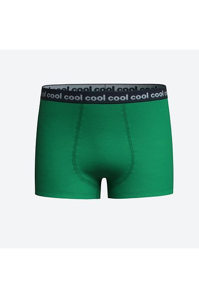LC Waikiki LCW Kids Printed Boy's Boxers 3 τεμ