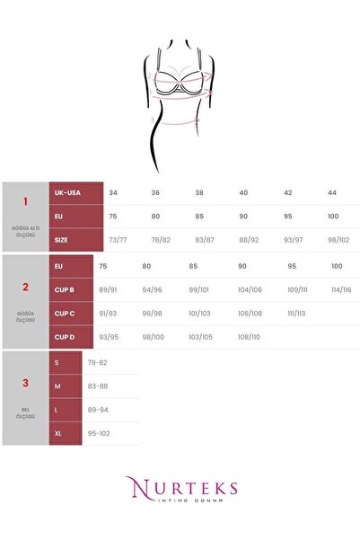 Nurteks Intimo Donna Anya Padded V Underwire Lace Bra Panty Set