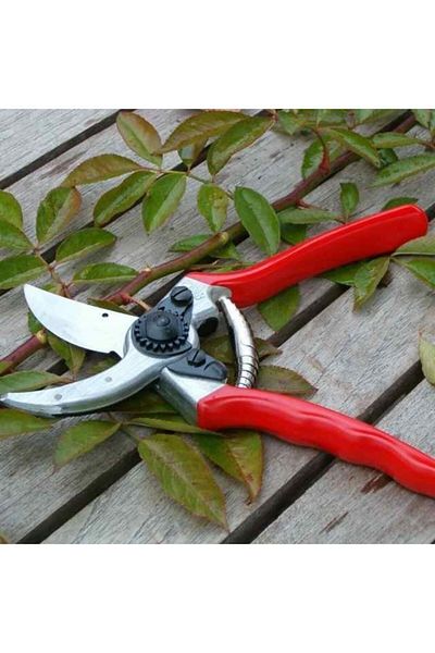 Felco 2 Pruning Scissors 21.5mm Right By Pass with Flashlight Set