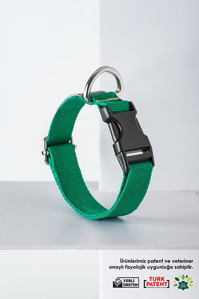 pasiole Adjustable Sturdy Dog Collar - Albero