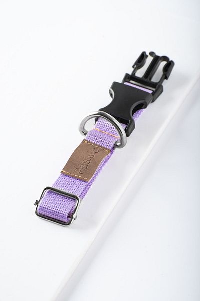 pasiole Adjustable Sturdy Dog Collar - Gelato