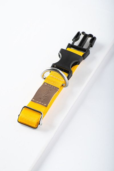 pasiole Adjustable Sturdy Dog Collar - Sole