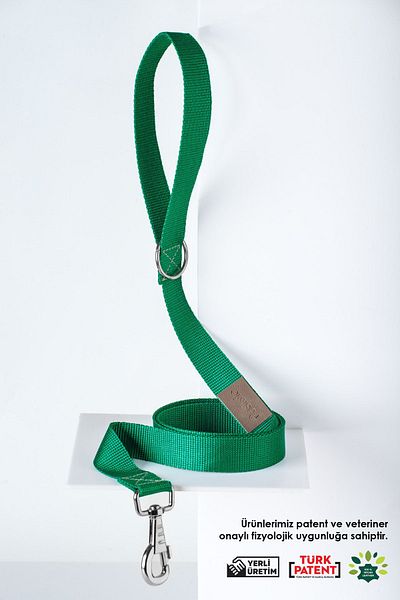 pasiole Adjustable Sturdy Dog Collar and Walking Strap - Foresta