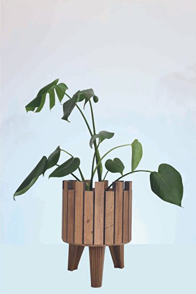 Hakan Mobilya Çam Rengi Ahşap Ayaklı Kale Model Saksı Orta Dekoratif Çiçeklik Salon Ofis Balkon Bahçe Aksesuarı