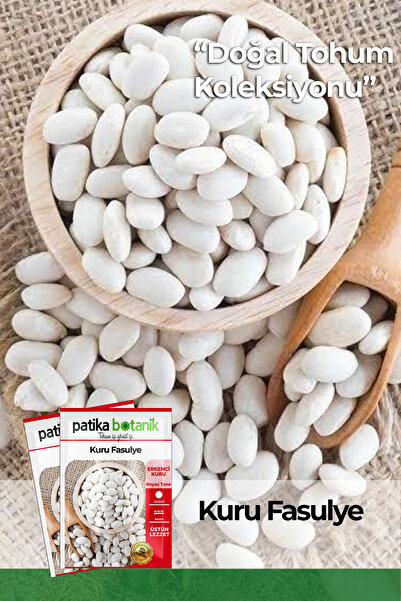 Patika Botanik 50 Adet Kuru Fasulye Tohumu