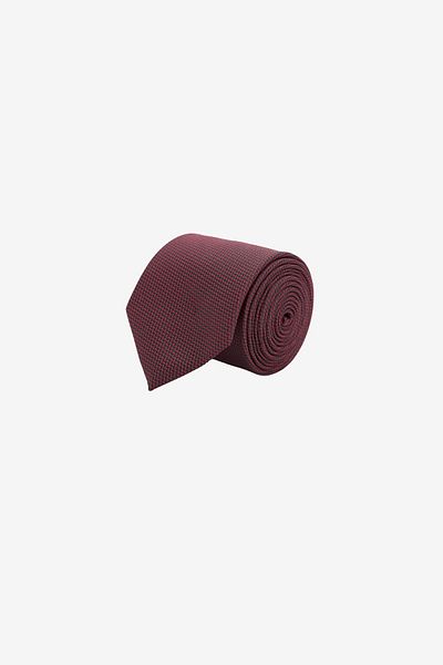 ALTINYILDIZ CLASSICS Cravată pentru bărbați cu model burgundy