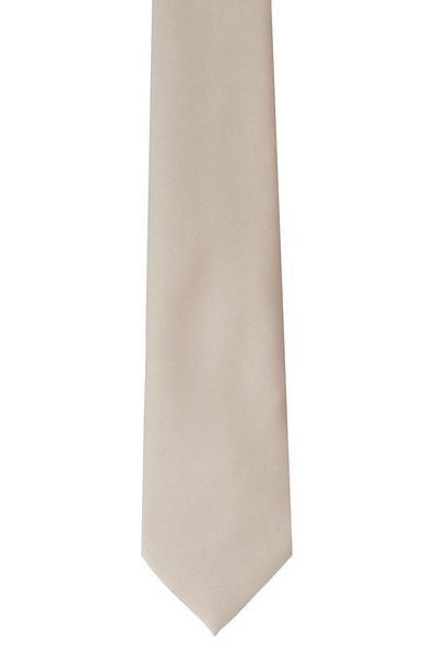 ALTINYILDIZ CLASSICS Men's Gray Patternless Gray Tie