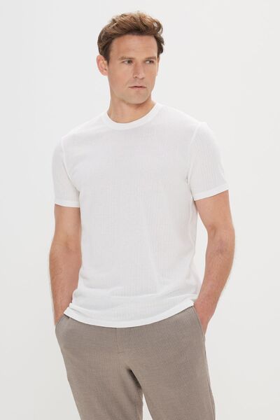 ALTINYILDIZ CLASSICS Tricou alb pentru bărbați, slim fit, 100% bumbac Dobby, cu guler rotund