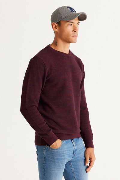 ALTINYILDIZ CLASSICS Pulover tricotat cu model burgundy-albastru marin pentru bărbați