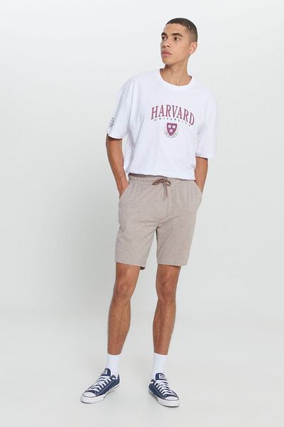 AC&Co / Altınyıldız Classics Pantaloni scurți maro Melange pentru bărbați - pantaloni scurți confortabili din bumbac, cu ajustare normală