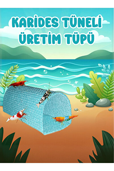 Akvaryum Karides Tüneli & Üretim Tüpü MD İzmir Akvaryum
