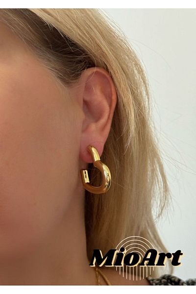 MioArt Luxury Women's Heart Earrings