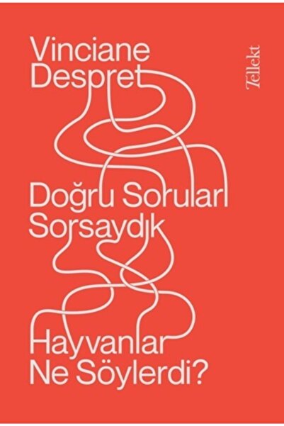 Tellekt Atlasavm Doğru Soruları Sorsaydık Hayvanlar Neler Söylerdi?