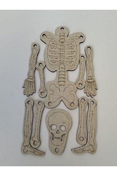 Gizemli Bilim Atölyesi Beden Haritası: Iskelet Sistemi