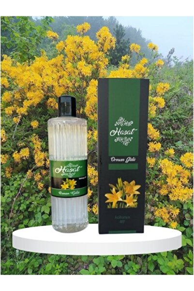 HASAT ORMAN GÜLÜ KOLONYASI 400 ML