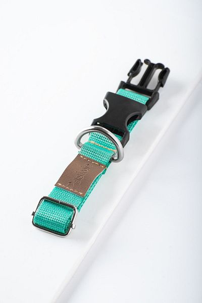 pasiole Adjustable Sturdy Dog Collar - Foglia