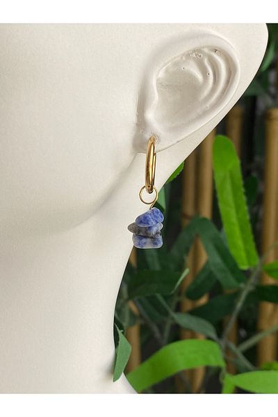 Lucios Stainless Special Design Natural Stone Steel Earrings
