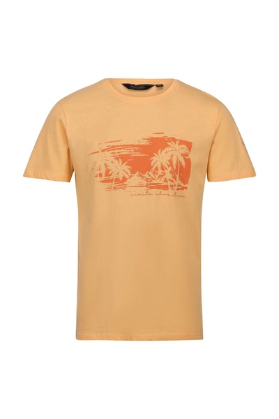 Regatta Cline Vıı Erkek T-shirt-turuncu