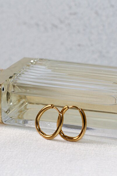 peony jewelry Gold Color Oval Earrings - Stainless Steel, Medium Size, Stylish Trend (1.5-2 CM)