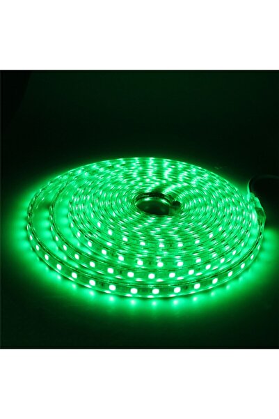 OOKAY Hortum Esnek Şerit Led 10 Metre Yeşil + 220 Volt Fiş