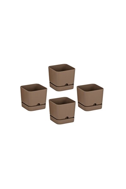 Poliwork 4 Adet Begonya Kare 13 Cm Tabaklı Saksı 1.5 Lt - Sütlü Kahve Renk