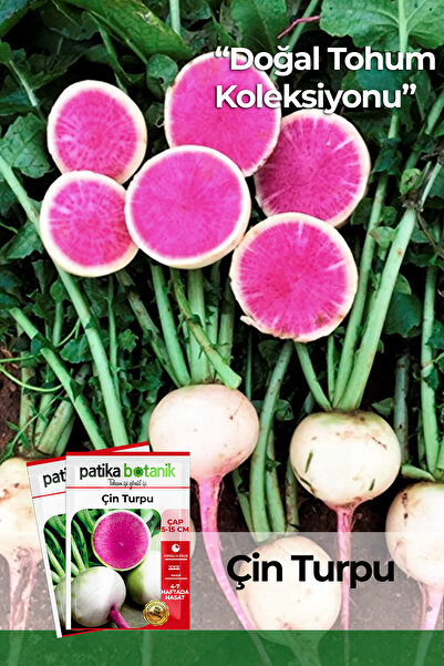 Patika Botanik 450 Adet Ata Tohumu Yerli Çin Turp