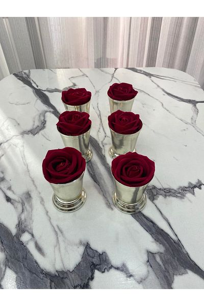 Mira züccaciye حامل عرض فضي مكون من 6 قطع - دلو ورد مزخرف (ROSE)