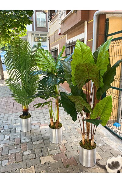 Cihan Çiçekçilik Yapay Areka Ağacı & Yapay Monstera Ağacı & Yapay Fil Kulağı Ağacı