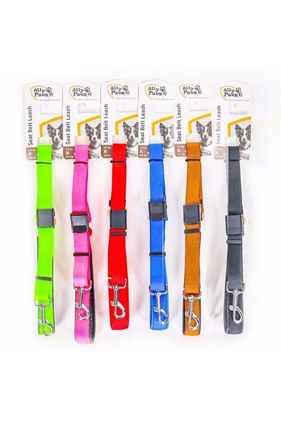 ALLYPAWS Ally Paws 2.5Cmx110Cm Travel and Car Safety Strap