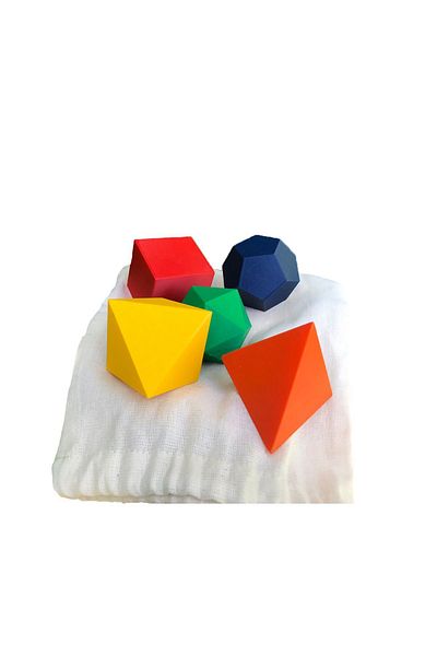 Root Made Platonic Bodies Speaking Nature Bodies Motor Skill Educational Set Platonic Solids