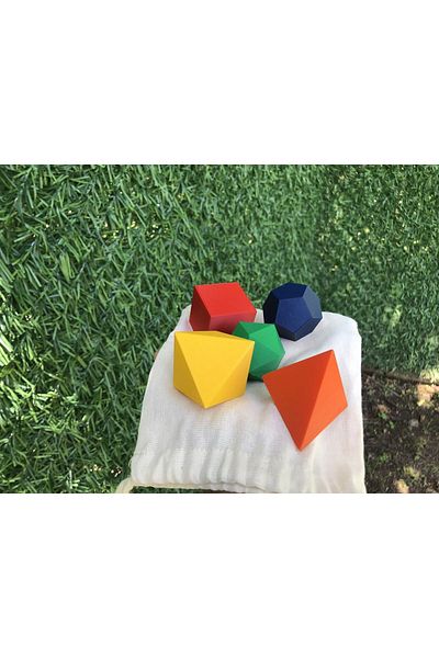 Root Made Platonic Bodies Speaking Nature Bodies Motor Skill Educational Set Platonic Solids
