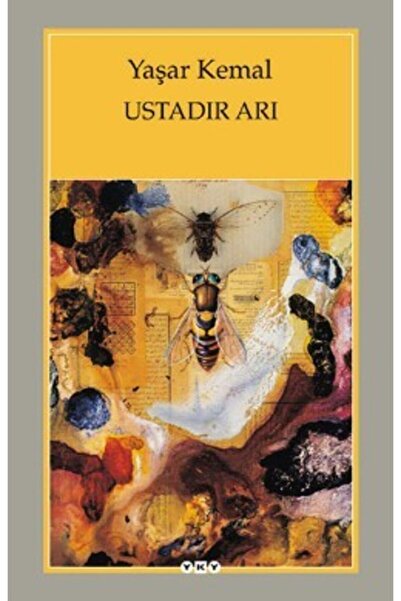 YAPI KREDİ YAYINLARI DERGİ Ustadır Arı